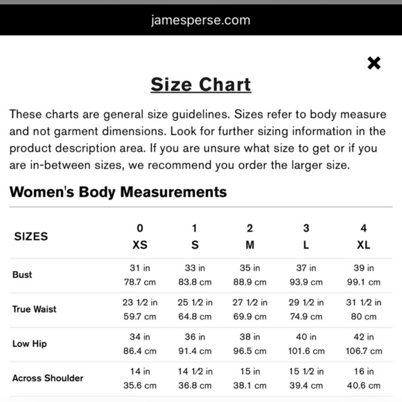 JAMES PERSE Standard Cotton white rolled sleeve Tshirt Dress, lined, size L - Picture 15 of 15